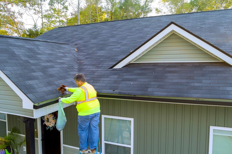 Maintaining Gutter Efficiency