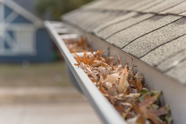Leaf Barrier Installation in Galena